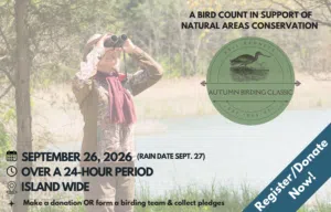 Bennett Birding 2026