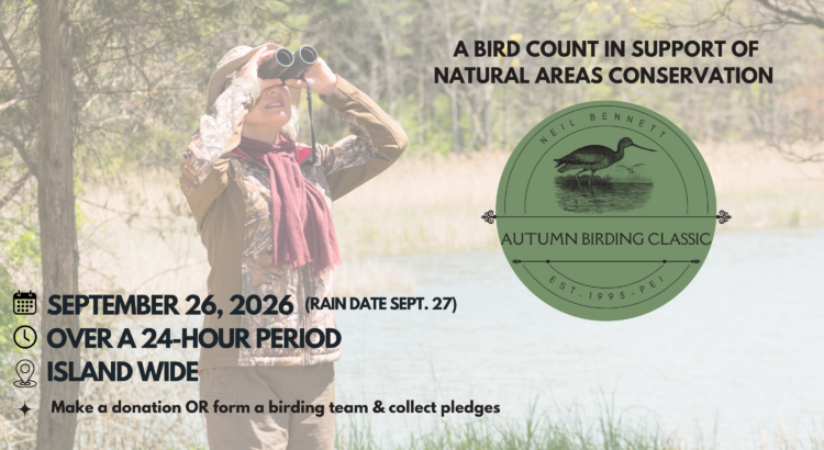 Bennett Birding 2026 webpage