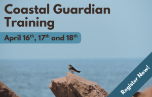Coastal Guardian Training 2026