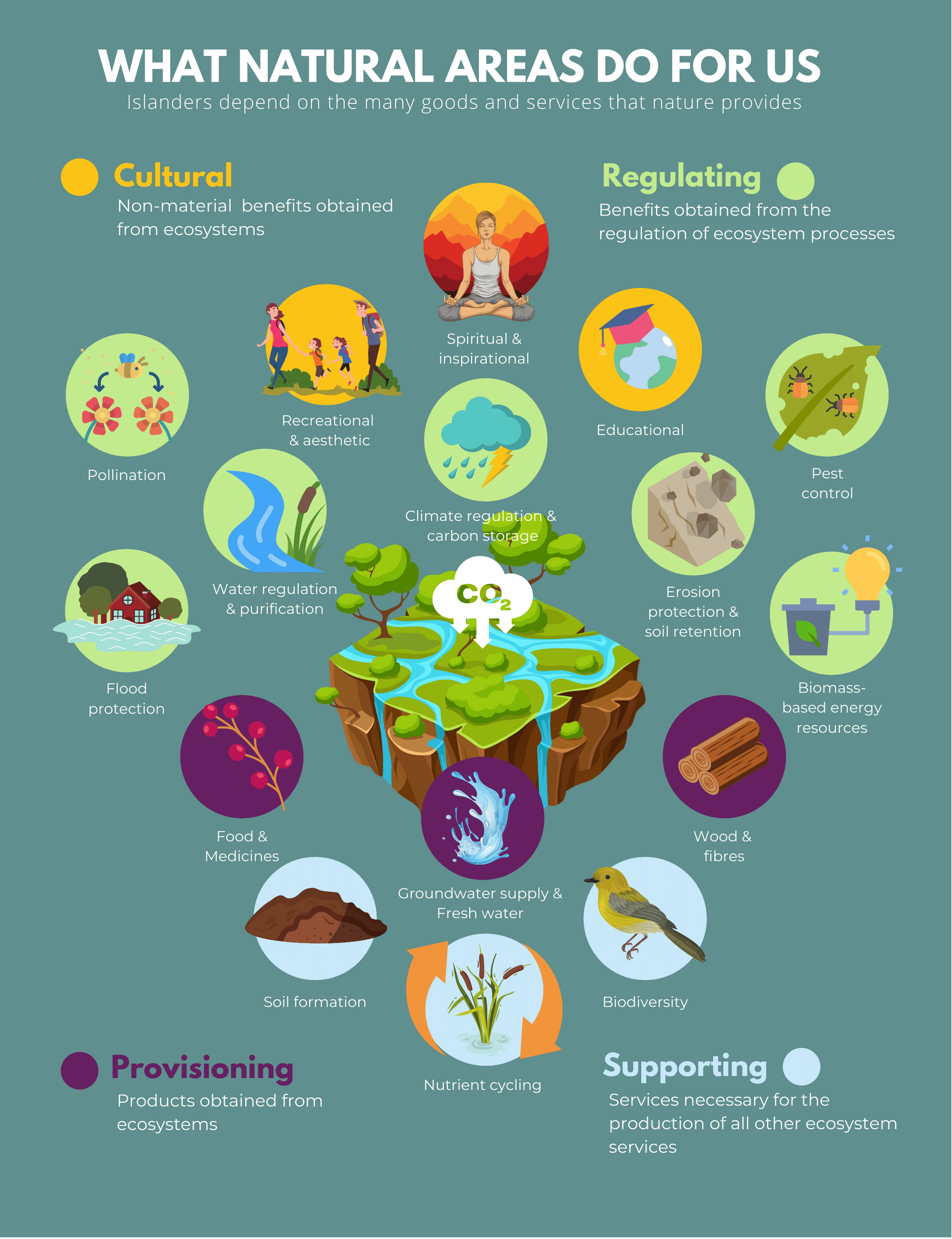 Ecosystem Services Infographic 2 Island Nature Trust