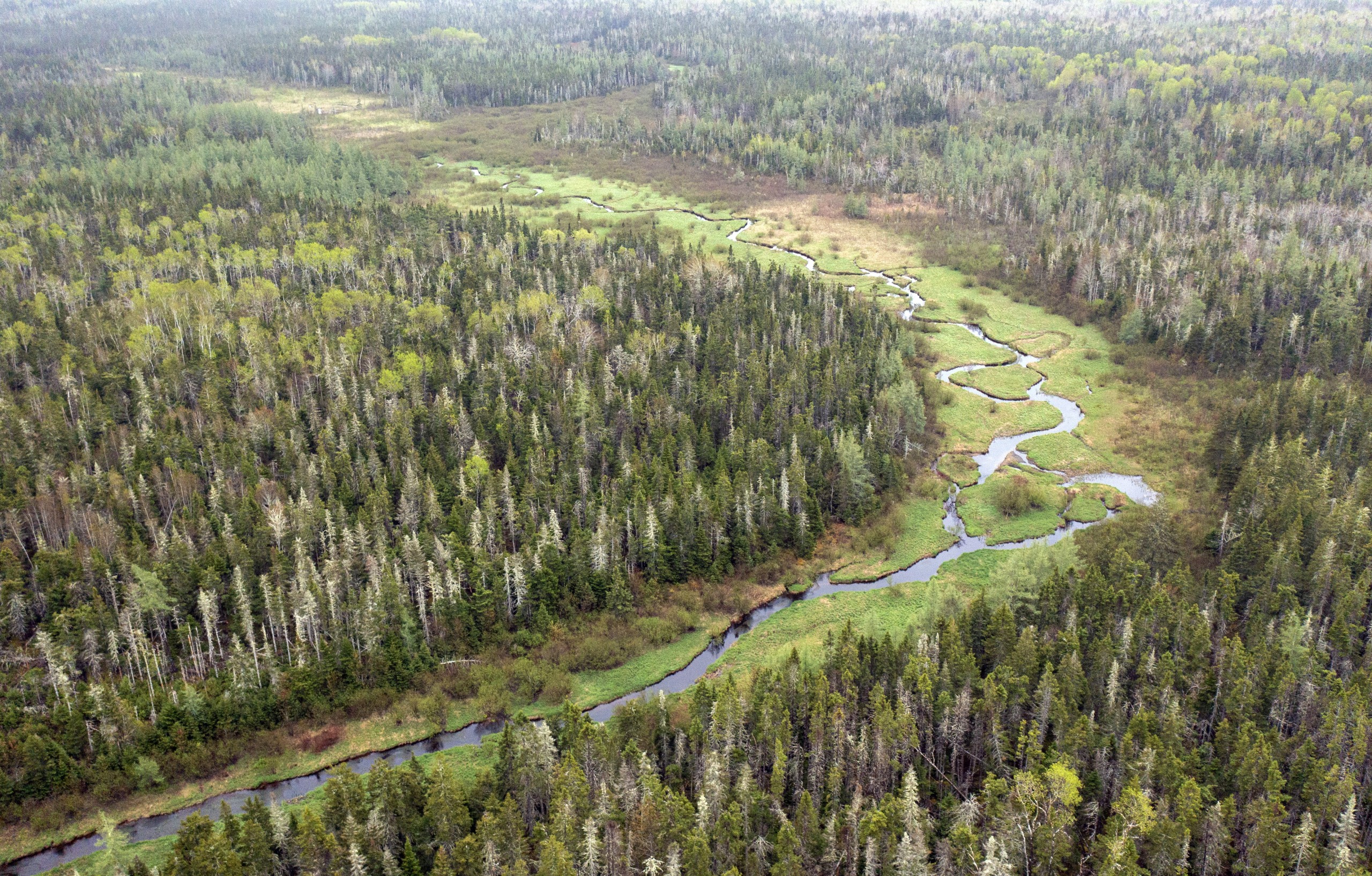 Island Nature Trust showcases never-before-seen drone footage of ...