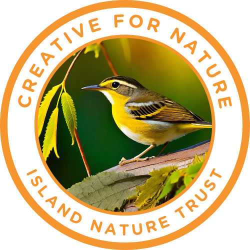 Be Creative For Nature - INT: Island Nature Trust